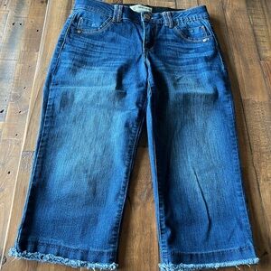 Democracy cropped Blue Jeans